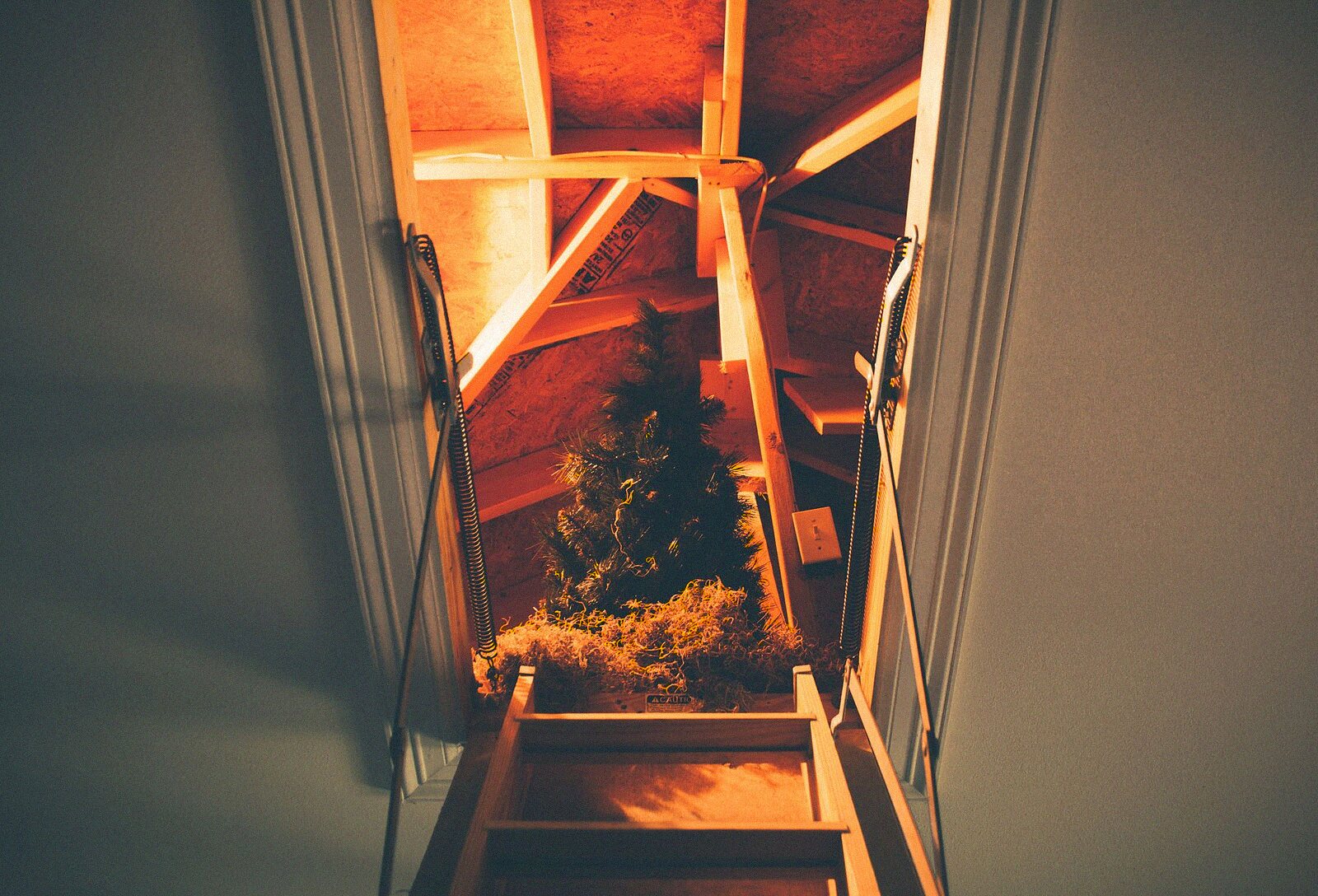 Daylight falling through an open attic hatch onto roof framing